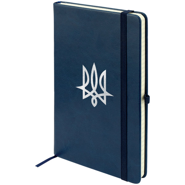 Notebook Axent Partner Lux Tryzub 8202-02-3-A, 125x195 mm, 96 sheets,  squared, blue