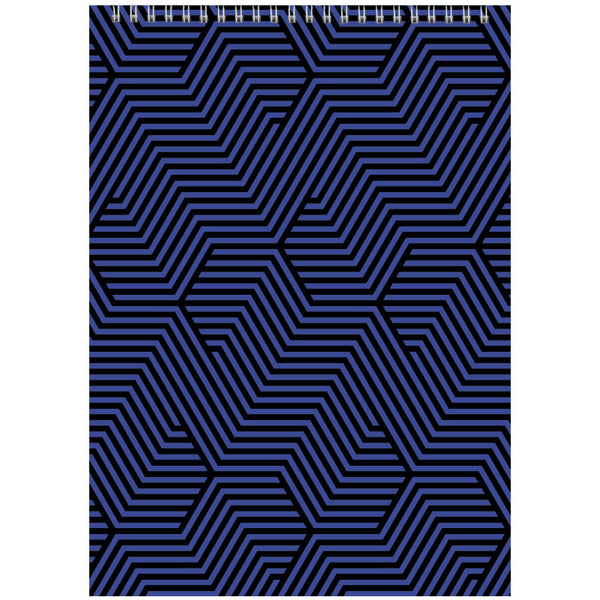 Spiral notebook Axent D8013-06, А4, 48 sheets, squared, blue