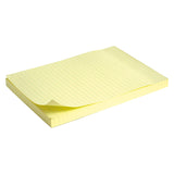 Sticky notes Delta D3330-02, squared, 100x150 mm, 100 sheets