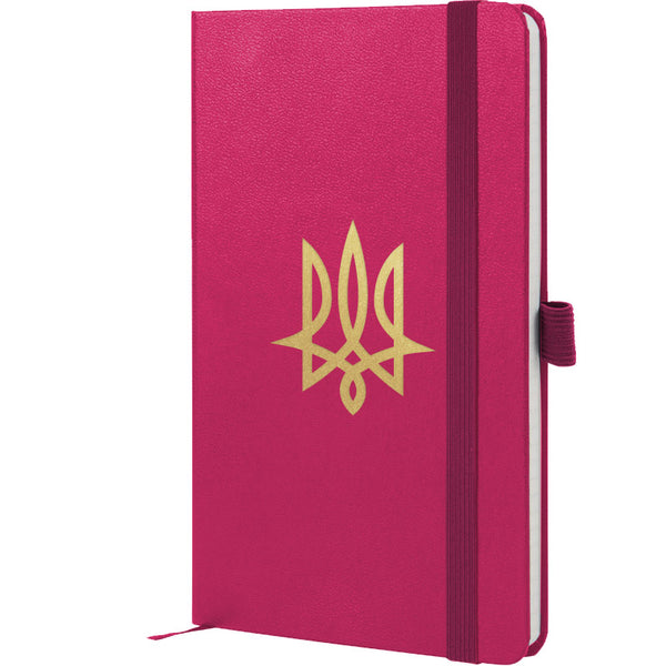 Notebook Axent Partner Tryzub 8201-50-3-A, 125x195 mm, 96 sheets,  squared, crimson