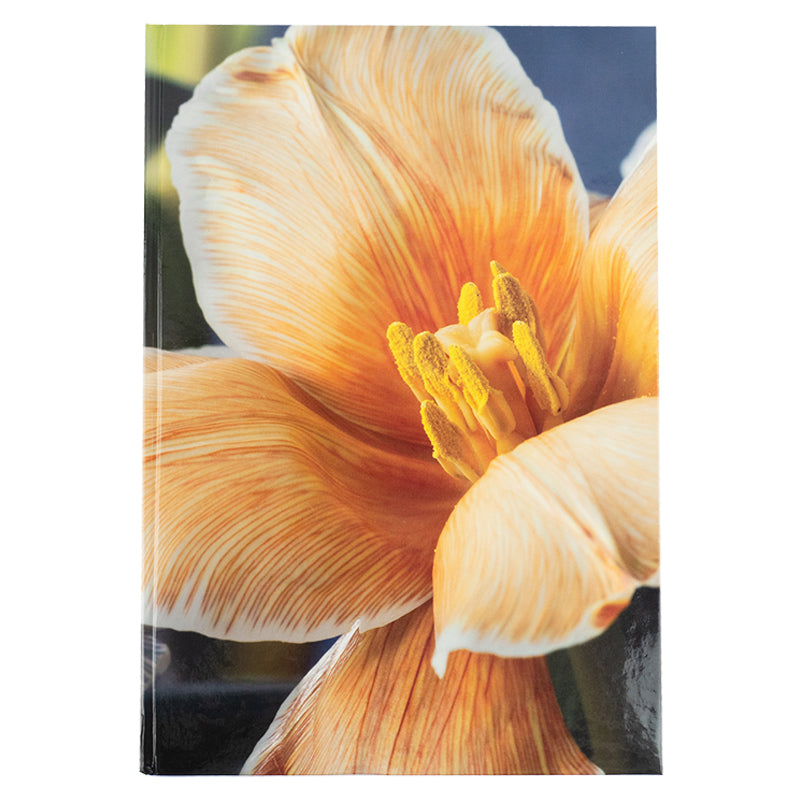 Notizbuch Axent Flora 8423-27-A, A4, 192 Blatt, kariert, gelb