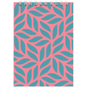 Spiralnotizbuch Axent D8011-05, А6, 48 Blatt, kariert, rosa