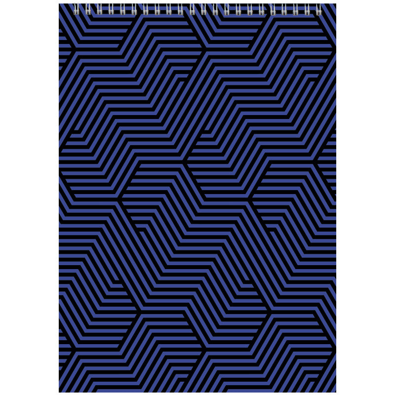 Spiralnotizbuch Axent D8013-06, А4, 48 Blatt, kariert, blau