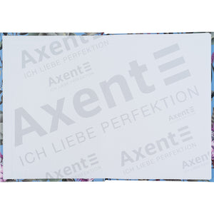 Notizbuch Axent Bloom 8456-2-A, А5, 96 Blatt, kariert, lichtblau