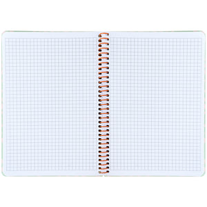 Spiral notebook Axent 8462-1-A, A5, 80 sheets, squared, plastic cover, light green