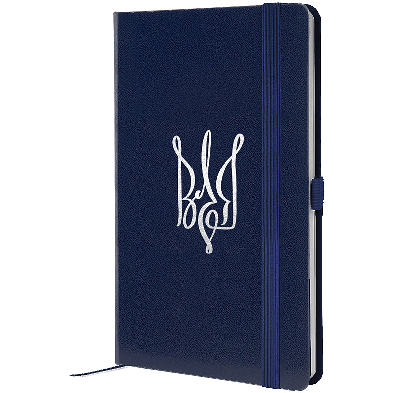 Notebook Axent Partner Volya 8201-02-7-A, 125x195 mm, 96 sheets,  squared, blue
