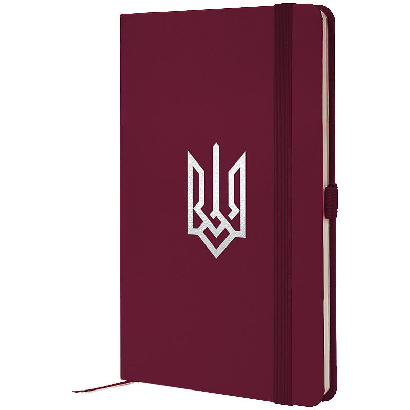 Notebook Axent Partner Coat of arms 8201-46-5-A, 125x195 mm, 96 sheets,  squared, wine