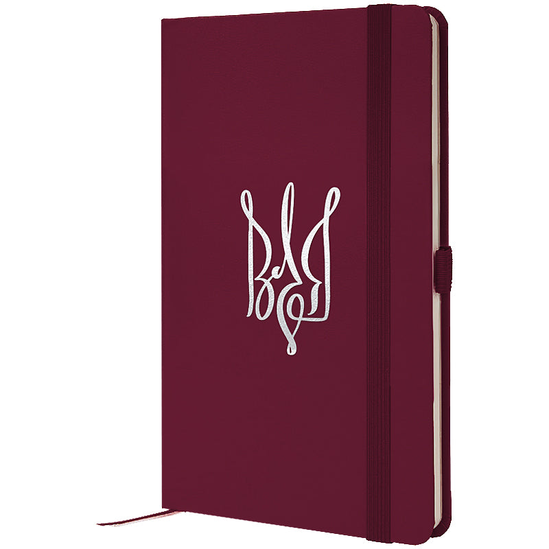 Notebook Axent Partner Volya 8201-46-6-A, 125x195 mm, 96 sheets,  squared, wine