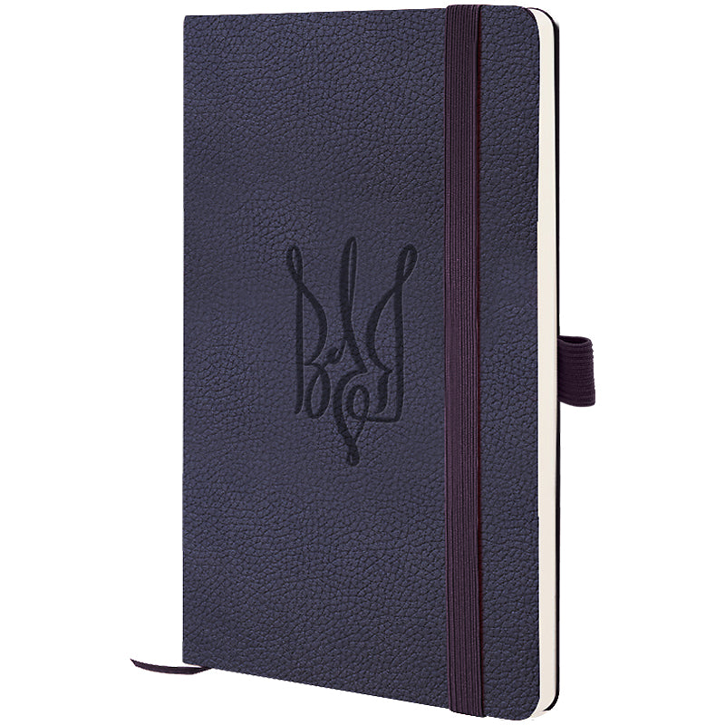 Notebook Axent Partner Soft Skin Volya 8616-02-5-A, 125x195 mm, 96 sheets,  squared, blue
