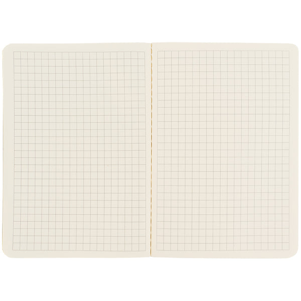 Notizbuch Axent Turnowsky Secret Garden 8711-1-A-TR, A6, 60 Blatt, quadratisch